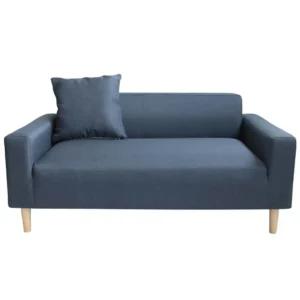 2-Seater Sky Fabric Sofa blue color