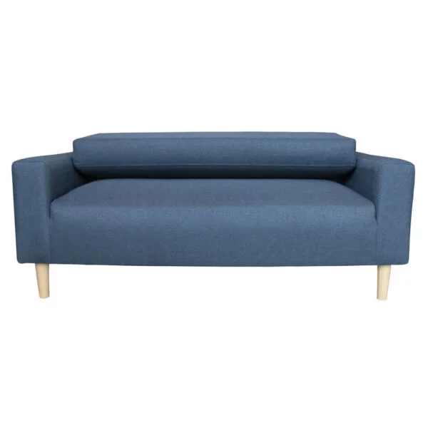 2-Seater Sky Fabric Sofa blue color