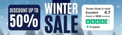 winter sale small banner